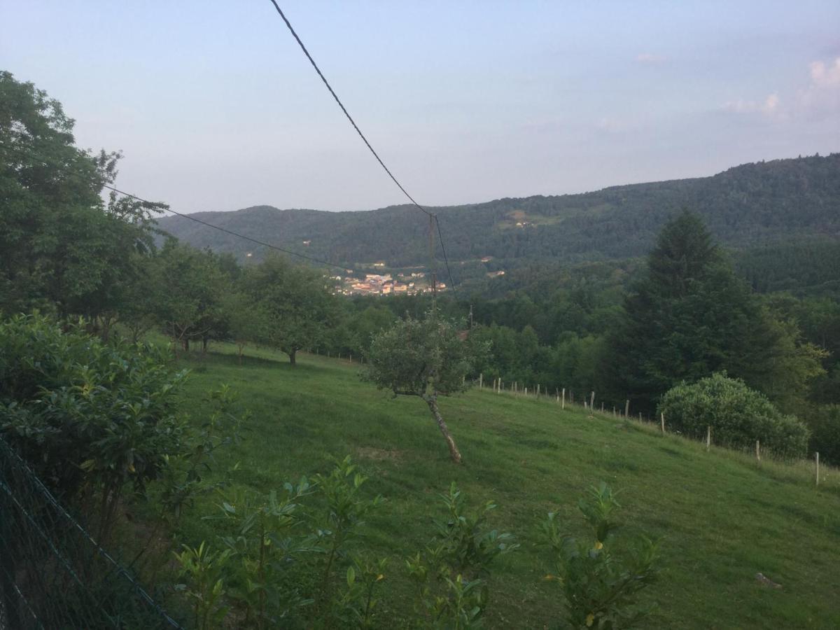 La Ferme De La-Haut B&B Le Haut-du-Them 외부 사진