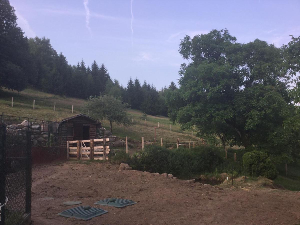 La Ferme De La-Haut B&B Le Haut-du-Them 외부 사진